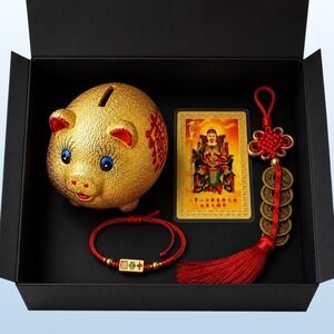 Feng Shui Wealth & Good Luck Gift Box Lucky Pig Bracelet Coins Home Decor Set